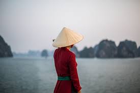 Vietnam schneidet Dachphotovoltaik Einspeisung Tarifsubventionen.
